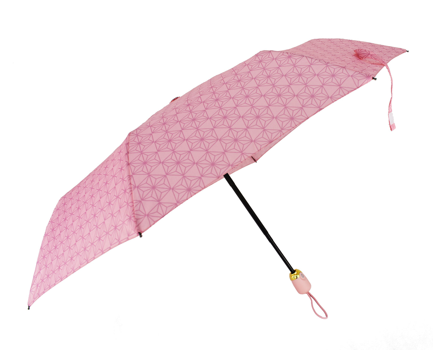 automatic open and close Umbrella