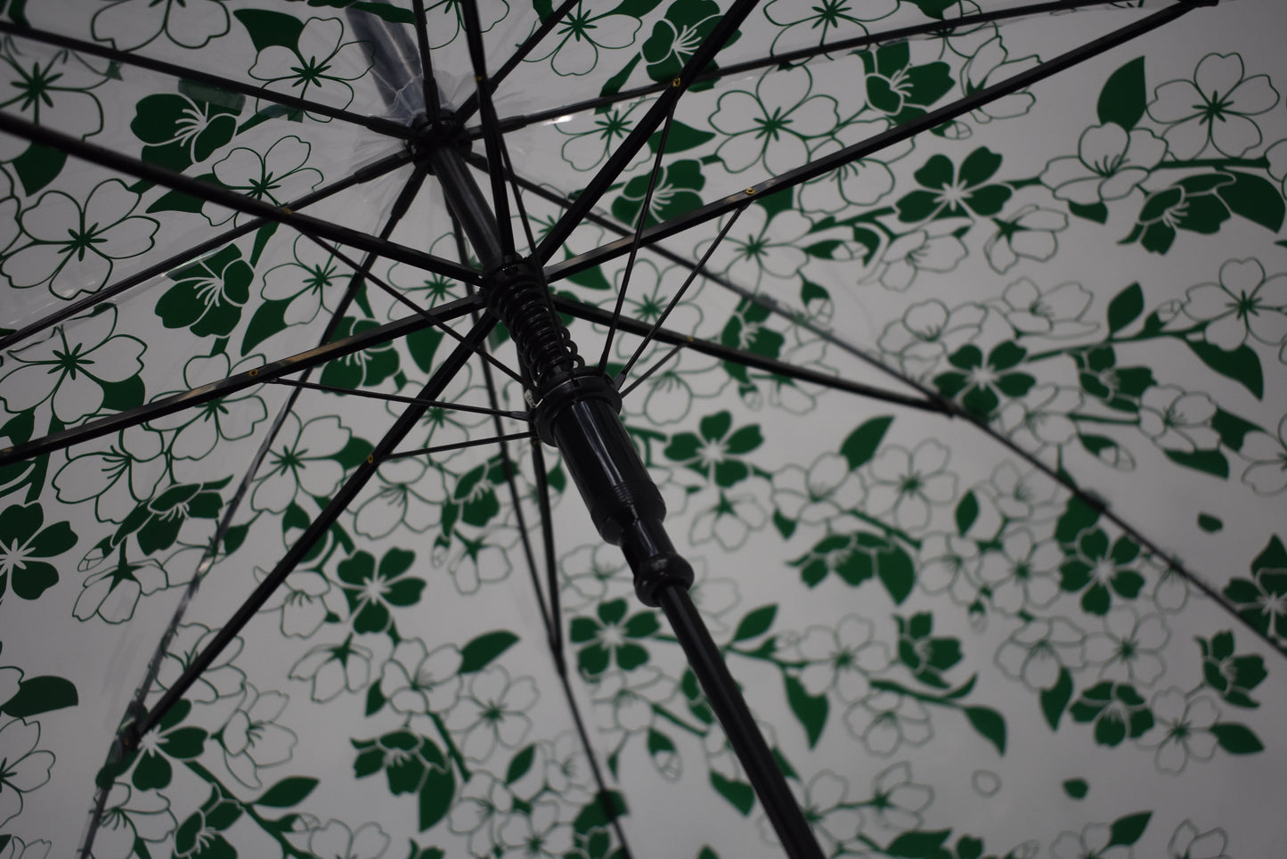 semi-automatic Transparent Dome style umbrella